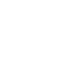 Our brands